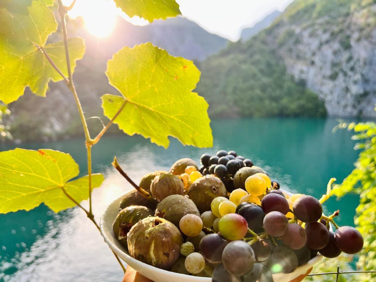 Neomalsore Agrotourism, Komani Lake Hotel Eksteriør billede