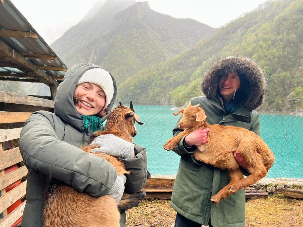 Neomalsore Agrotourism, Komani Lake Hotel Eksteriør billede