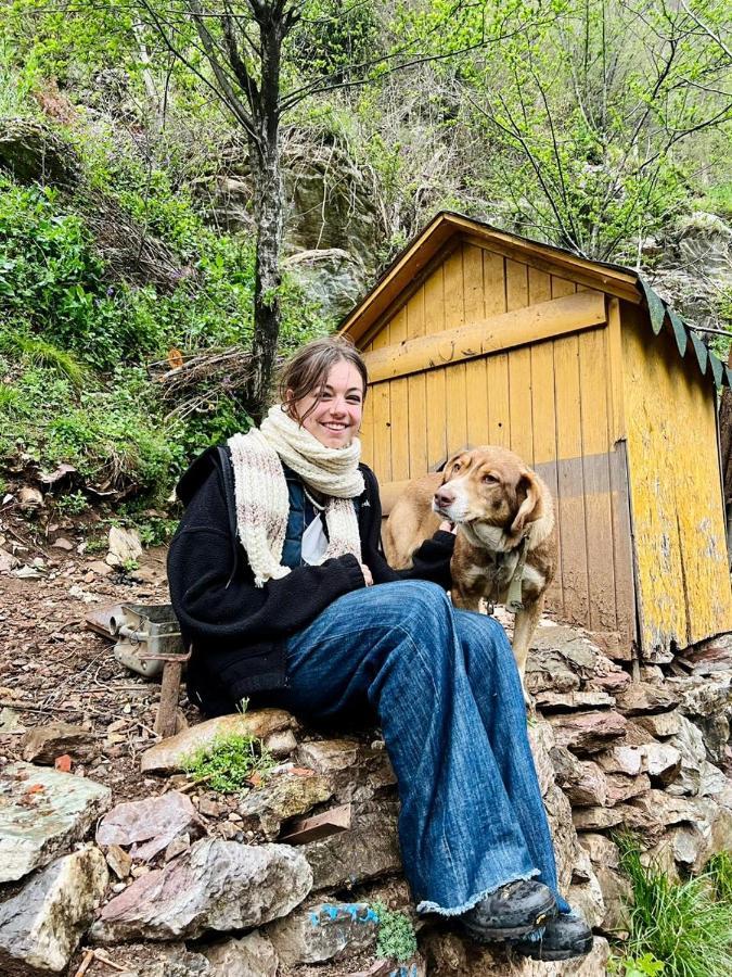 Neomalsore Agrotourism, Komani Lake Hotel Eksteriør billede